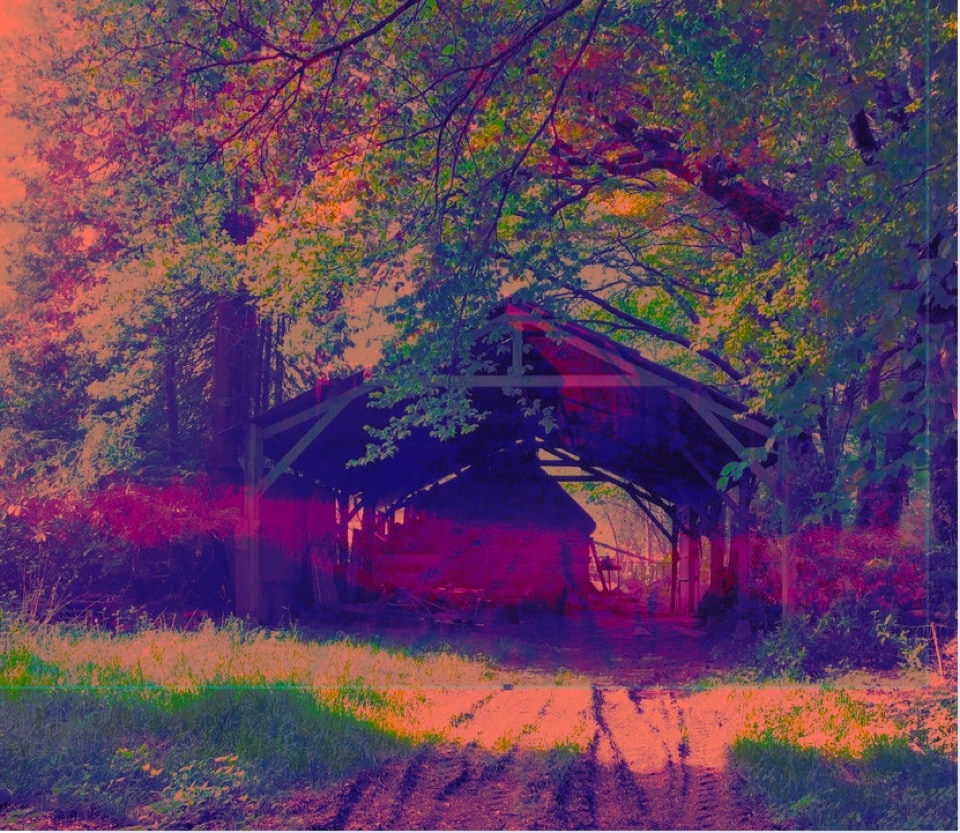 photo Iphone 6 + morbihan 56 - Procreate sur Ipad air 4ème génération